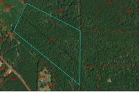 Property for sale in Newton County, Texas