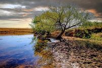 Property for sale in Logan County, Oklahoma