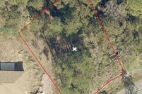 Undeveloped Land for sale in Marion County, Florida