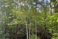 Undeveloped Land for sale in McCurtain County, Oklahoma