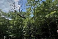 Undeveloped Land for sale in McCurtain County, Oklahoma