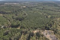 Undeveloped Land for sale in Covington County, Mississippi