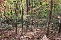 Property for sale in Sevier County, Tennessee