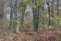 Undeveloped Land for sale in Arenac County, Michigan