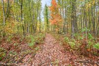Undeveloped Land for sale in Osceola County, Michigan