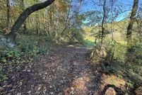 Undeveloped Land for sale in Fannin County, Georgia