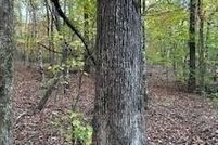 Property for sale in Lafayette County, Mississippi