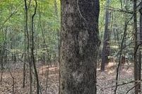 Property for sale in Lafayette County, Mississippi