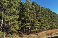 Undeveloped Land for sale in Douglas County, Minnesota