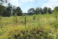 Undeveloped Land for sale in Little River County, Arkansas