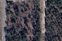 Undeveloped Land for sale in Clay County, Florida
