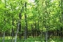 Farm Property for sale in Luzerne County, Pennsylvania