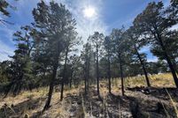 Undeveloped Land for sale in San Miguel County, New Mexico