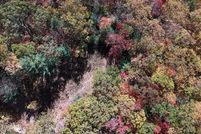 Property for sale in Carter County, Tennessee