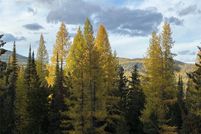 Property for sale in Lincoln County, Montana