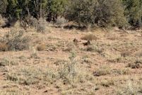 Property for sale in Navajo County, Arizona