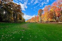 Undeveloped Land for sale in Antrim County, Michigan