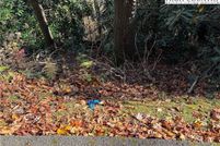 Property for sale in Watauga County, North Carolina