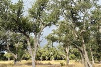Property for sale in Gillespie County, Texas
