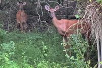 Property for sale in Harford County, Maryland