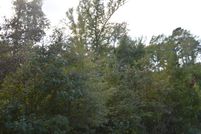 Undeveloped Land for sale in Marion County, Texas