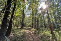 Property for sale in Wayne County, Mississippi