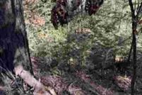 Property for sale in Otero County, New Mexico