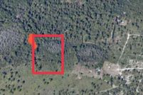 Property for sale in Osceola County, Florida