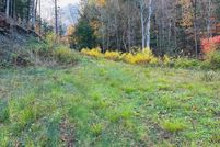 Undeveloped Land for sale in Windsor County, Vermont