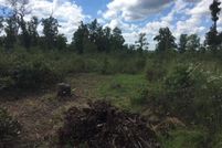 Property for sale in Ozark County, Missouri