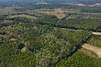 Undeveloped Land for sale in Washington County, Alabama