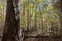 Property for sale in Sequatchie County, Tennessee