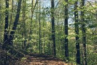 Property for sale in Madison County, North Carolina