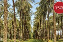 Undeveloped Land for sale in Riverside County, California