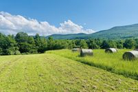 Undeveloped Land for sale in Greene County, New York