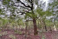 Ranch Property for sale in Washington County, Florida