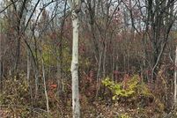 Undeveloped Land for sale in Jefferson County, New York