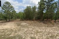 Undeveloped Land for sale in Citrus County, Florida