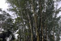 Property for sale in Hawaii County, Hawaii