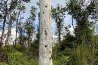 Undeveloped Land for sale in Hawaii County, Hawaii