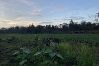 Property for sale in Hawaii County, Hawaii