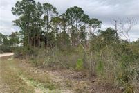Undeveloped Land for sale in Levy County, Florida
