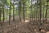 Undeveloped Land for sale in Penobscot County, Maine