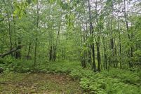 Undeveloped Land for sale in Kennebec County, Maine