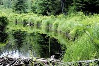 Waterfront Property for sale in Washington County, Maine