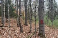 Undeveloped Land for sale in Franklin County, Maine