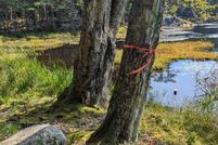 Property for sale in Lincoln County, Maine