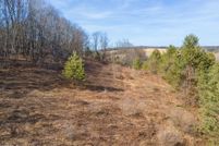 Undeveloped Land for sale in Chenango County, New York