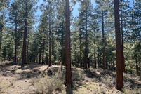 Property for sale in Douglas County, Nevada