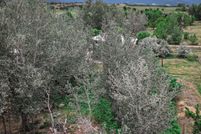 Property for sale in Huerfano County, Colorado